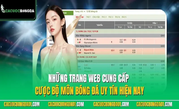Cá Độ Bóng Đá