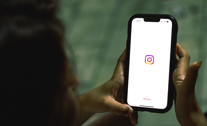 Instagram Story Viewer