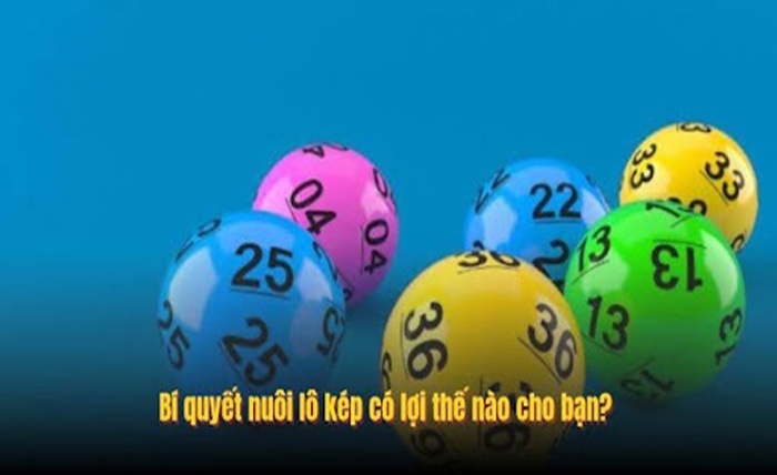 QQ88 