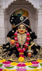 Devotional Laddu Gopal photo for morning darshan