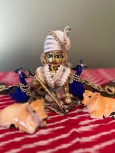 HD Laddu Gopal photo with peaceful background